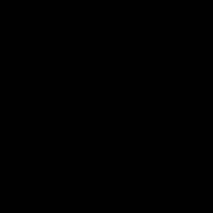 Meet your Posher, Rowan